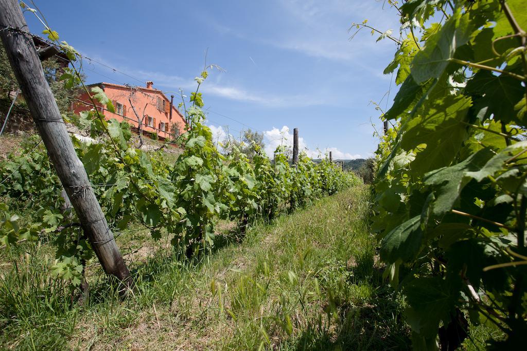 Agriturismo La Burlanda Fosdinovo Εξωτερικό φωτογραφία